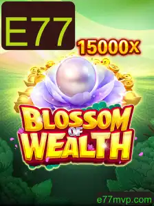 Explorando o Mundo Atraente de BlossomofWealth: Tudo o Que Você Precisa Saber